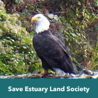 French Creek Bald Eagle Preserve 50/50 – Summer 2022